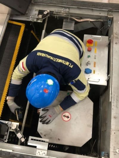 project-ptmha-4